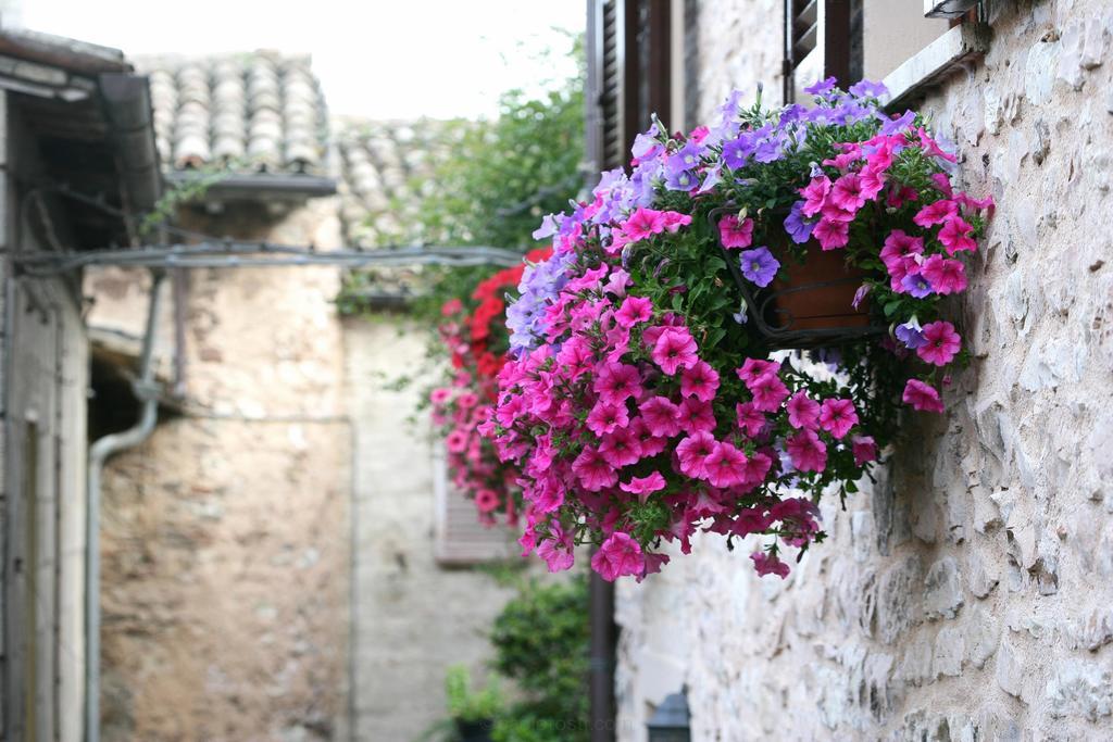 Hotel Palazzo Brunamonti Bevagna Kültér fotó