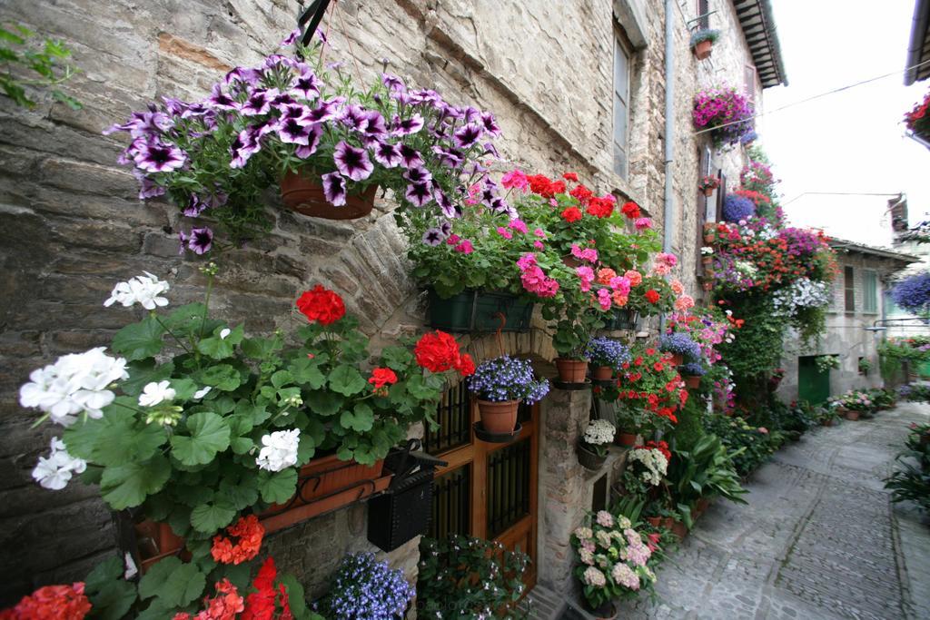 Hotel Palazzo Brunamonti Bevagna Kültér fotó